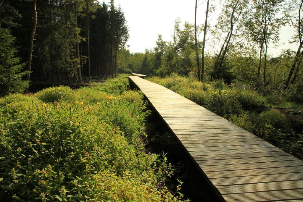 Landhotel Alte Muehle Ostrach Екстериор снимка